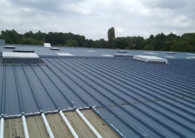 remplacement PSW polyester et PCA sur lanterneaux suite sinistre grêle AIRCOS à Ardon 45