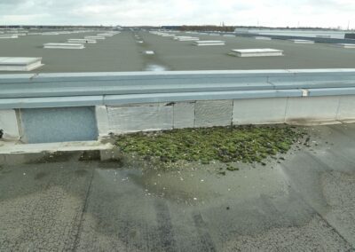 demoussage des toitures d'une base logistique