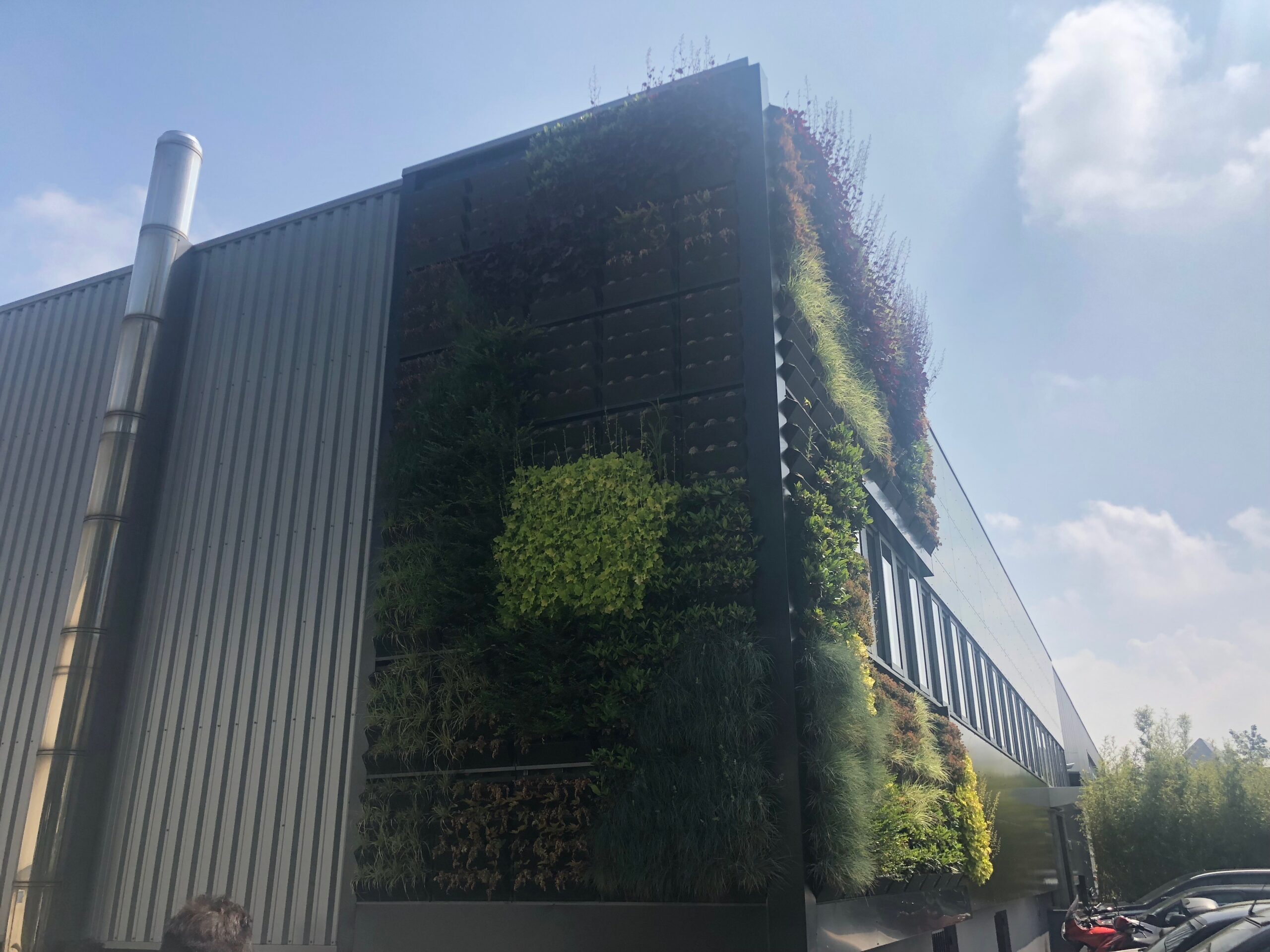 réfection bardage végétal CPV Plus à Morangis