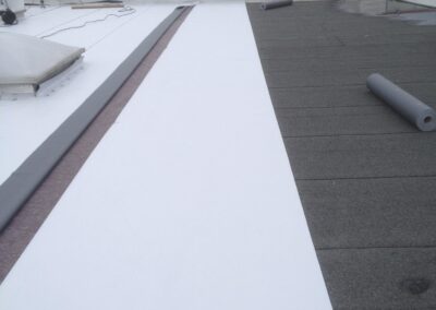 réfection sur multicouche existant sur bâtiment laser game