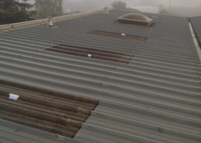 travaux de remplacement des translucide et des lanterneaux après sinistre