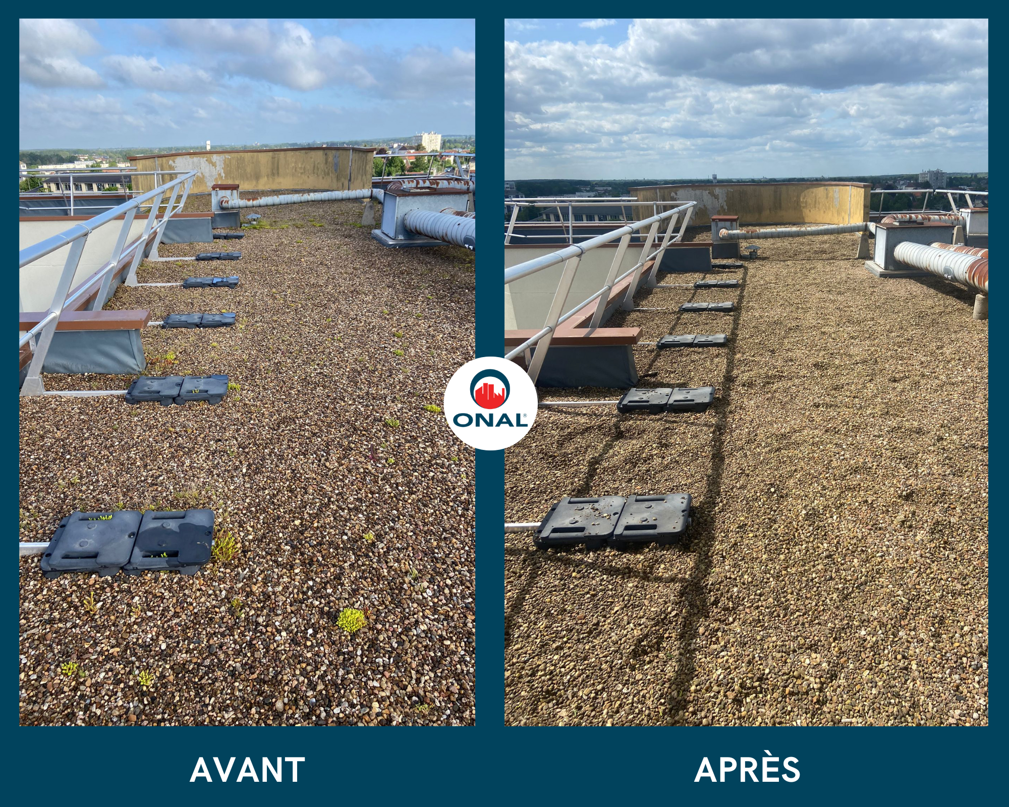 Retrait de végétaux sur toiture