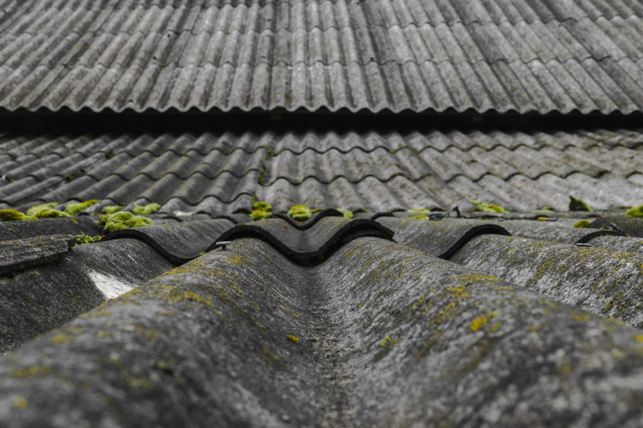 Gros plan sur une toiture en plaques de fibrociment contenant de l’amiante, avec présence de mousse et de dégradation visible.