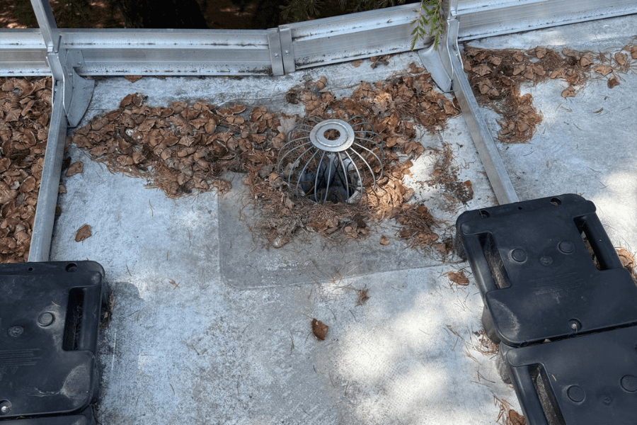 Évacuation de toiture plate obstruée par des feuilles mortes et des débris, nécessitant un nettoyage pour éviter les problèmes d'étanchéité et d'engorgement.