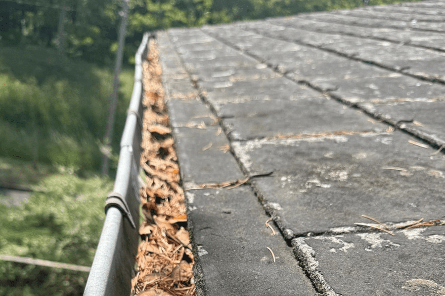 Gouttière de toiture obstruée par des feuilles mortes et des aiguilles de pin, nécessitant un nettoyage pour assurer une bonne évacuation des eaux de pluie.
